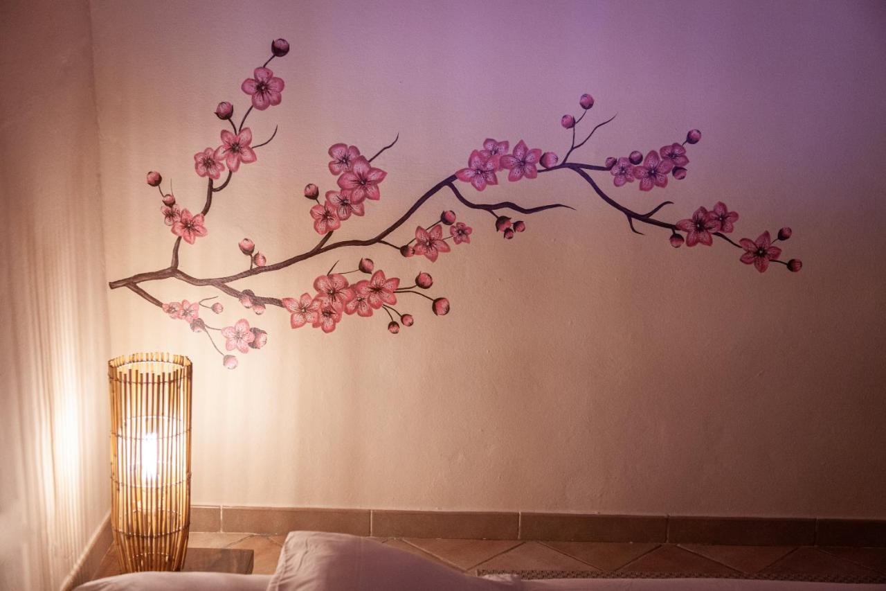 Agriturismo Albarosa-Terre Dell'Amore 마리나디그로세토 외부 사진